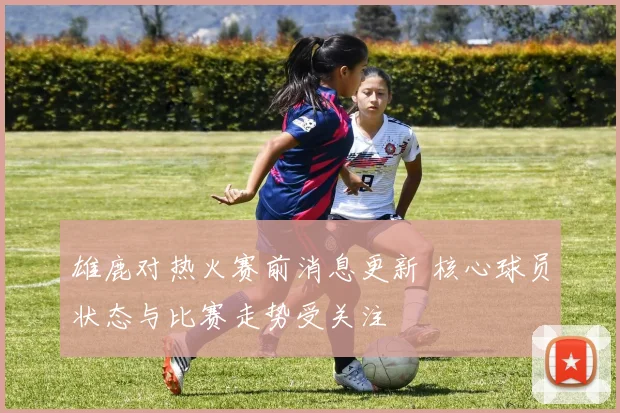 雄鹿对热火赛前消息更新 核心球员状态与比赛走势受关注