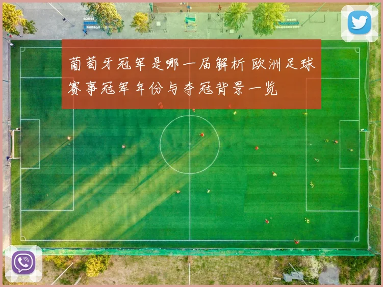 葡萄牙冠军是哪一届解析 欧洲足球赛事冠军年份与夺冠背景一览