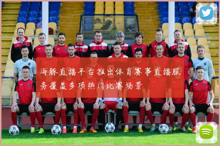 海豚直播平台推出体育赛事直播服务覆盖多项热门比赛场景