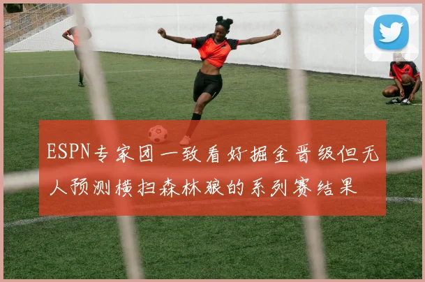 ESPN专家团一致看好掘金晋级但无人预测横扫森林狼的系列赛结果