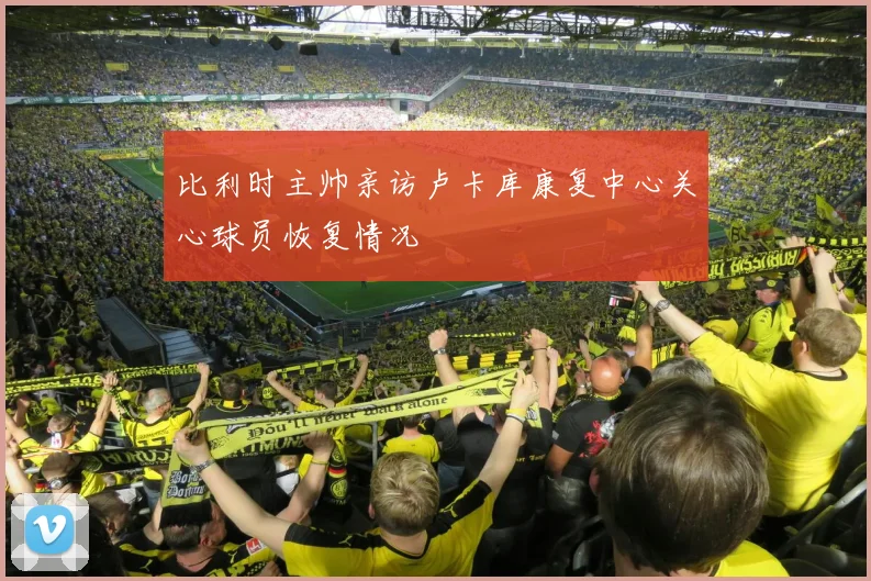 比利时主帅亲访卢卡库康复中心关心球员恢复情况