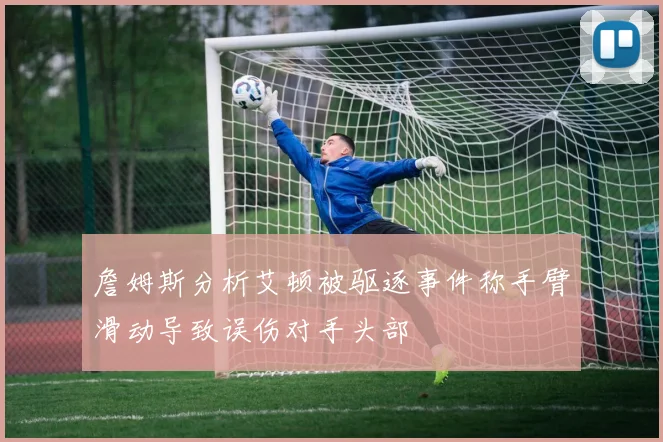 詹姆斯分析艾顿被驱逐事件称手臂滑动导致误伤对手头部