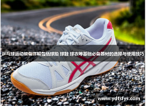 乒乓球运动装备详解包括球拍 球鞋 球衣等基础必备器材的选择与使用技巧