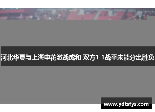 河北华夏与上海申花激战成和 双方1 1战平未能分出胜负