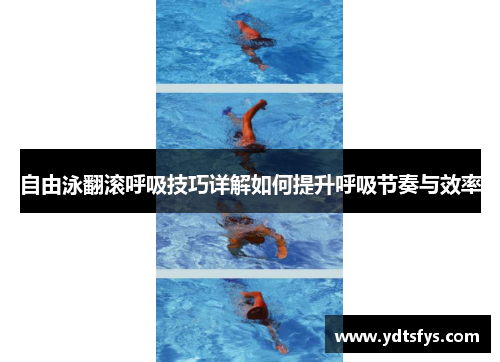 自由泳翻滚呼吸技巧详解如何提升呼吸节奏与效率