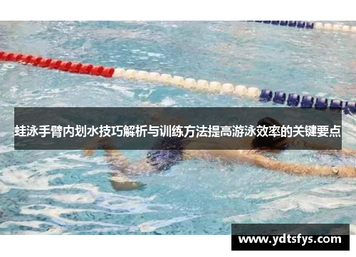 蛙泳手臂内划水技巧解析与训练方法提高游泳效率的关键要点